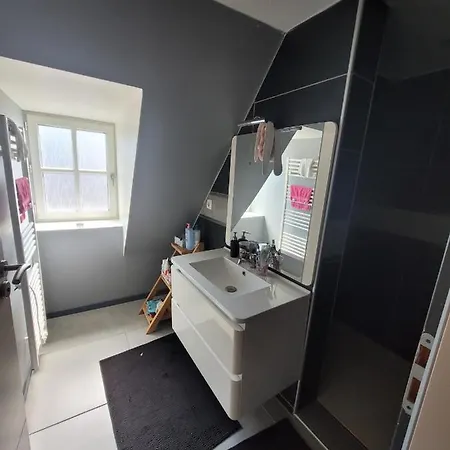 Apartmán Loft Spacieux Et Lumineux *