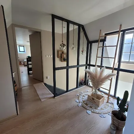 Loft Spacieux Et Lumineux