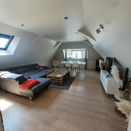 Loft Spacieux Et Lumineux Oloron-Sainte-Marie